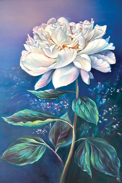 Peonies: Peony by Olena Hontar