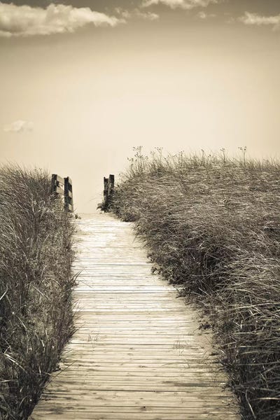 Sepia Photography: Beach Boardwalk by Olivia Joy StClaire