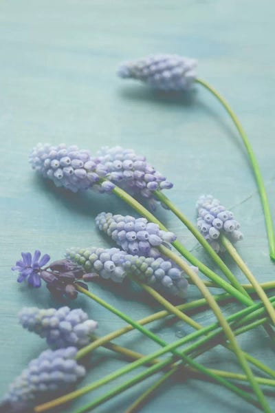 Olivia Joy StClaire: Blue Floral Still Life by Olivia Joy StClaire