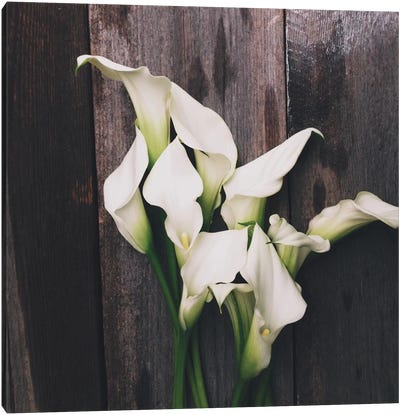Calla Lilies Canvas Art Print - Instagram Material