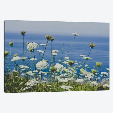Flowers By The Sea Canvas Print #OJS131} by Olivia Joy StClaire Canvas Artwork
