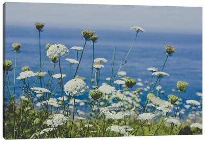 Flowers By The Sea Canvas Art Print - Pantone 2020 Classic Blue