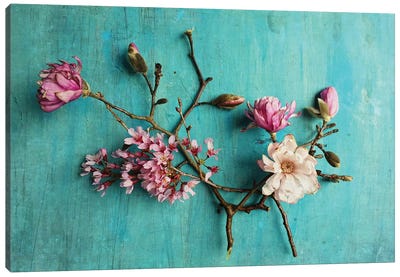 Flowers Of Spring Canvas Art Print - Olivia Joy StClaire