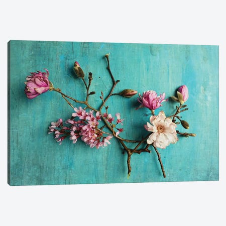 Flowers Of Spring Canvas Print #OJS132} by Olivia Joy StClaire Canvas Wall Art