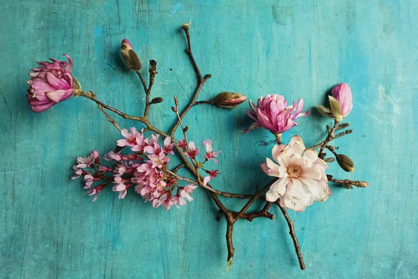 Olivia Joy StClaire: Flowers Of Spring by Olivia Joy StClaire