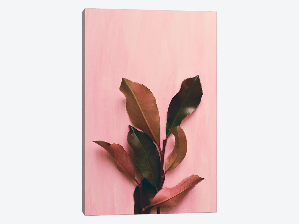 Foliage I by Olivia Joy StClaire 1-piece Canvas Print