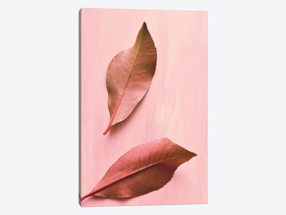 Foliage III by Olivia Joy StClaire 1-piece Canvas Art Print
