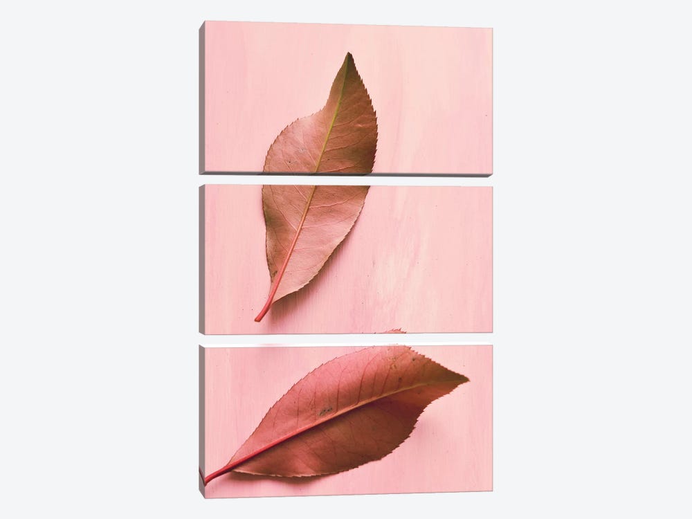 Foliage III by Olivia Joy StClaire 3-piece Canvas Art Print