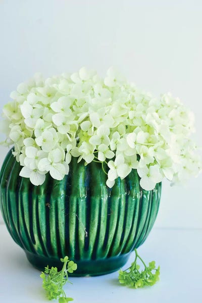 Olivia Joy StClaire: Gathered Blooms by Olivia Joy StClaire