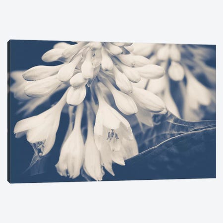 In The Morning Canvas Print #OJS139} by Olivia Joy StClaire Canvas Wall Art