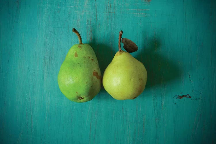 Cute Couple by Olivia Joy StClaire wall art