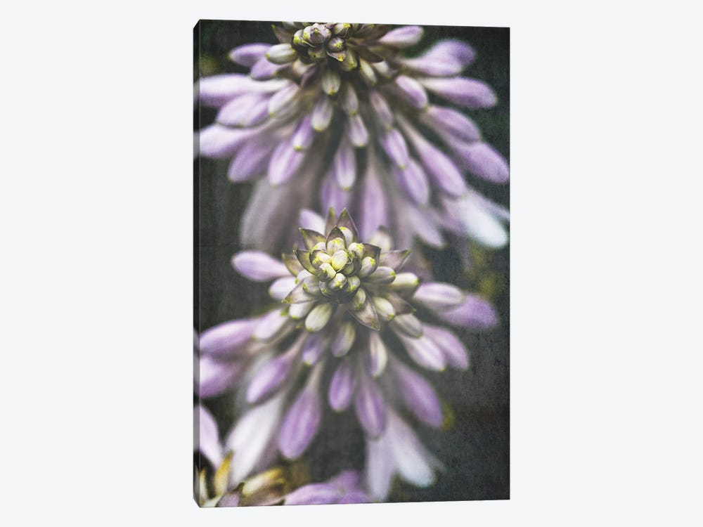 Lavender Flowers 1-piece Canvas Print