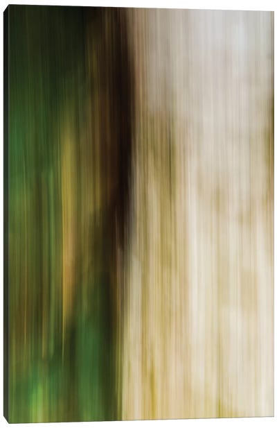 Leaves And Stone Canvas Art Print - Abstract Photography