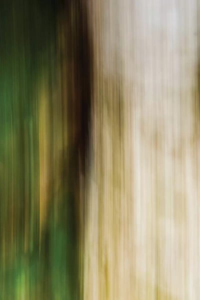 Abstract Photography: Leaves And Stone by Olivia Joy StClaire