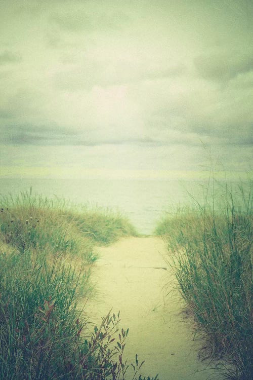 Morning At The Sea by Olivia Joy StClaire wall art