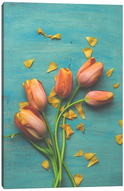 Orange Tulip Still Life II Canvas Art Print - Tulip Art