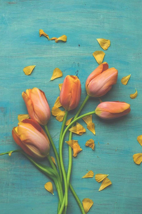 Orange Tulip Still Life II by Olivia Joy StClaire wall art