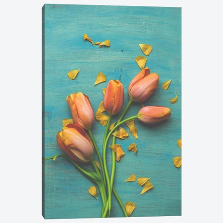 Orange Tulip Still Life II Canvas Print #OJS153} by Olivia Joy StClaire Canvas Art
