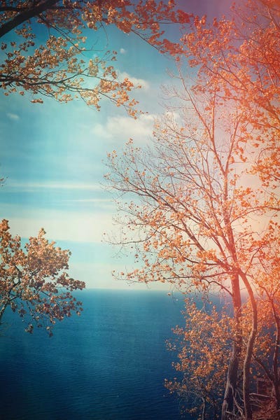 Trekking: Overlook by Olivia Joy StClaire