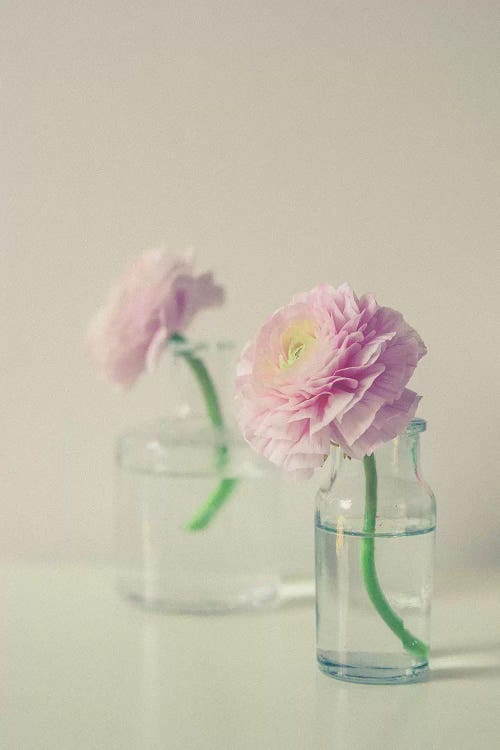 Pastel Floral Still Life by Olivia Joy StClaire wall art