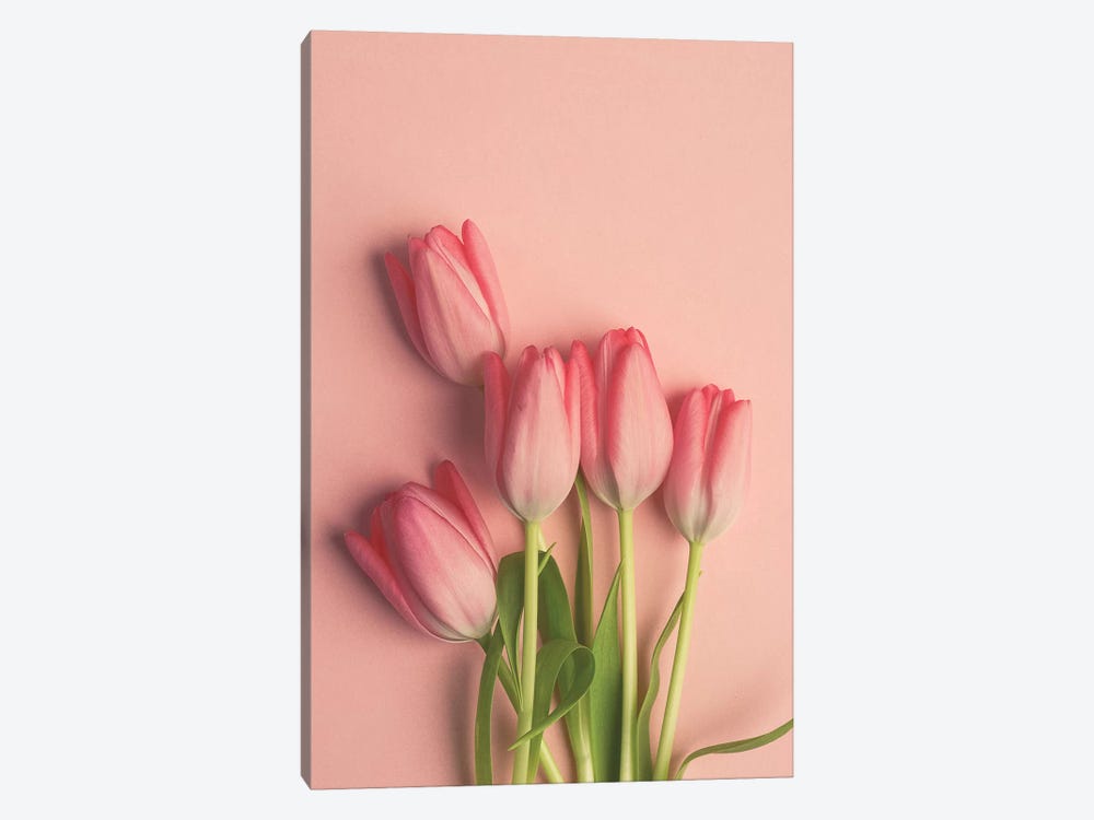 Pink Tulips On Pink by Olivia Joy StClaire 1-piece Canvas Artwork