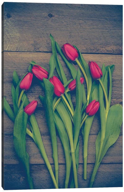 Red Tulips Canvas Art Print - Olivia Joy StClaire