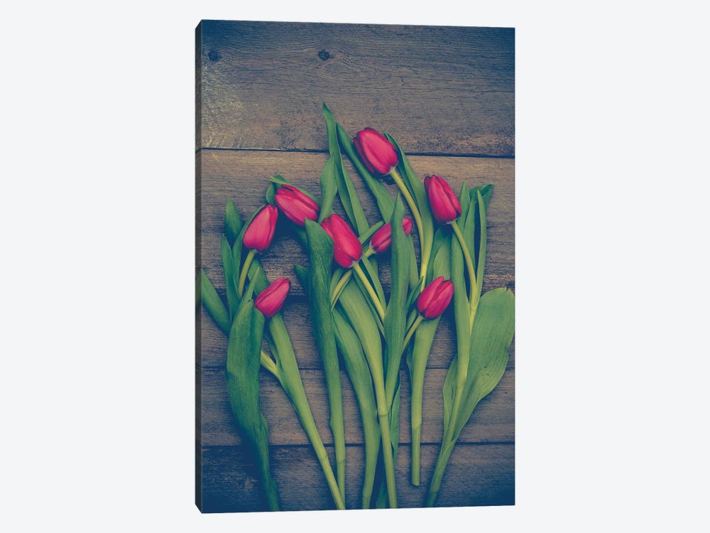 Red Tulips 1-piece Canvas Wall Art