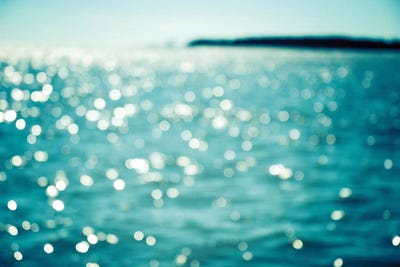 Sea Sparkle by Olivia Joy StClaire canvas print