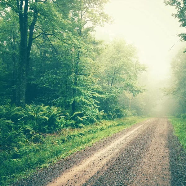 Mist & Fog: Foggy Day by Olivia Joy StClaire