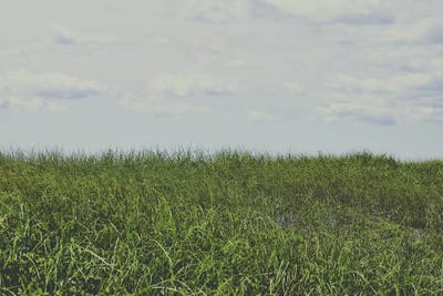 Summer by Olivia Joy StClaire framed wall art