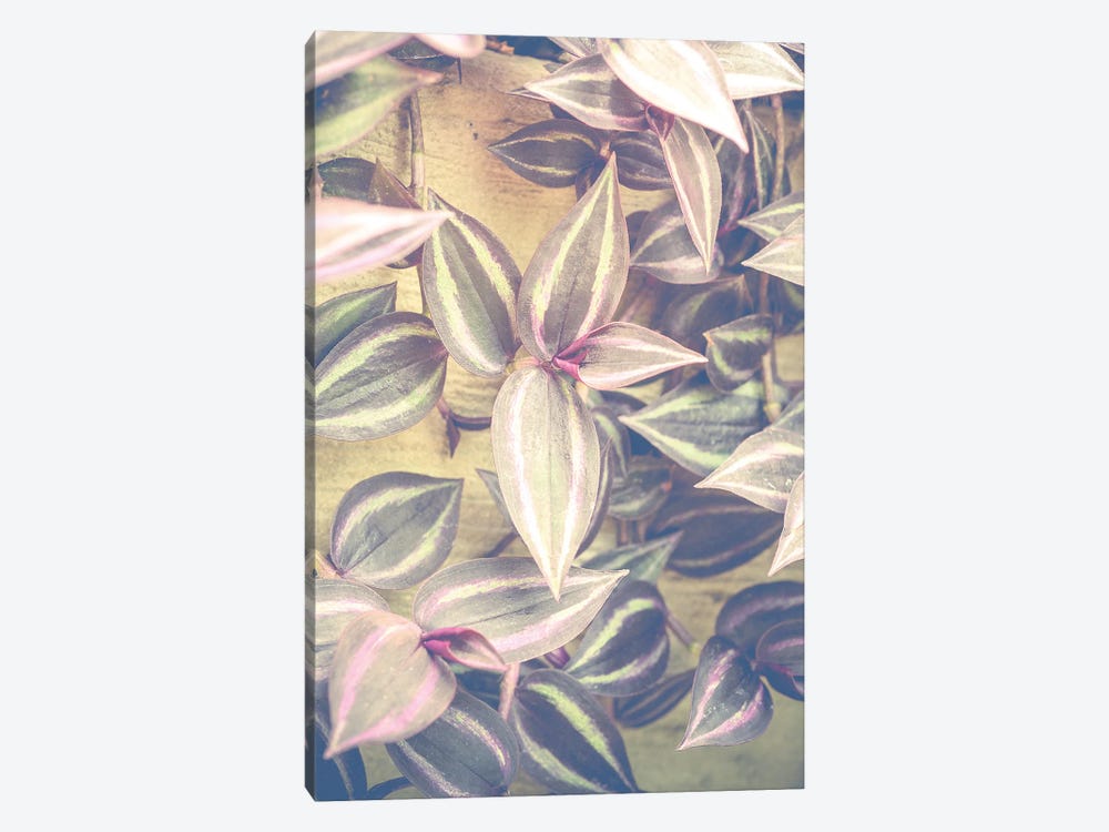 Trailing Leaves by Olivia Joy StClaire 1-piece Canvas Art Print