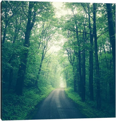 Forest Road Canvas Art Print - Instagram Material