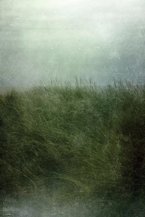 Twilight Beach by Olivia Joy StClaire wall art