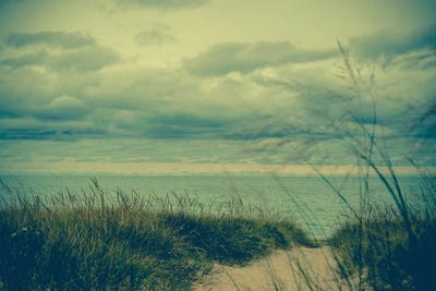 Veiled by Olivia Joy StClaire framed wall art