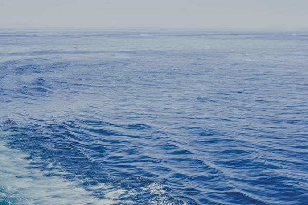 Water Close-Ups: Water And Ripples by Olivia Joy StClaire