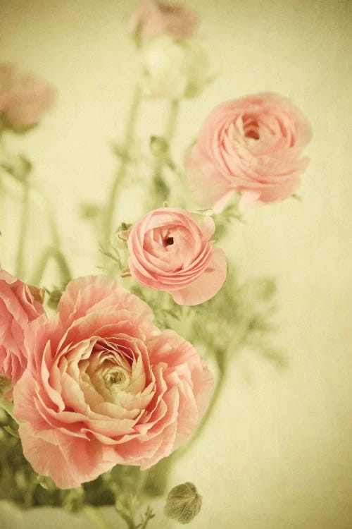 A Little Romance by Olivia Joy StClaire wall art