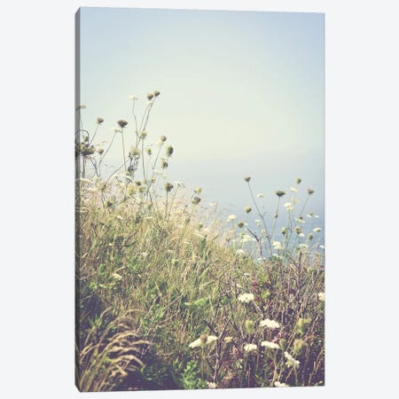 Wildflowers By The Sea Canvas Print #OJS202} by Olivia Joy StClaire Canvas Art