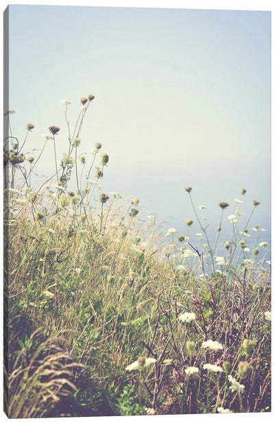 Wildflowers By The Sea Canvas Art Print - Vintage Styled Photography