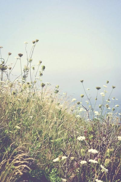 Wildflowers: Wildflowers By The Sea by Olivia Joy StClaire