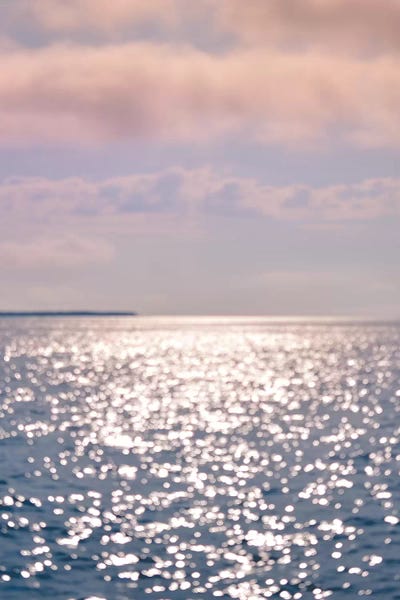 Wind Song by Olivia Joy StClaire canvas print