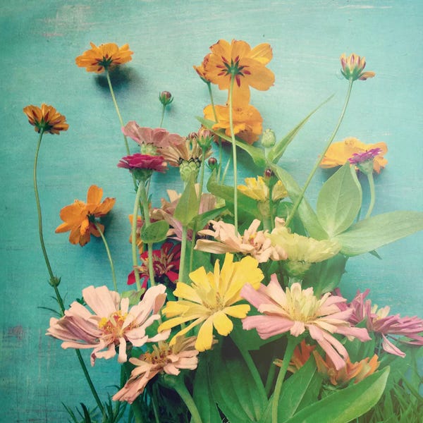 Still Life Photography: I Carry You With Me Into The World by Olivia Joy StClaire