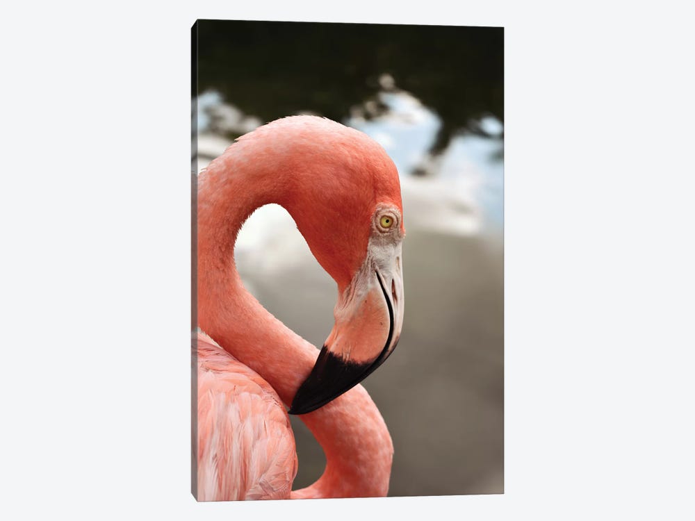 Pink Flamingo by Olivia Joy StClaire 1-piece Art Print