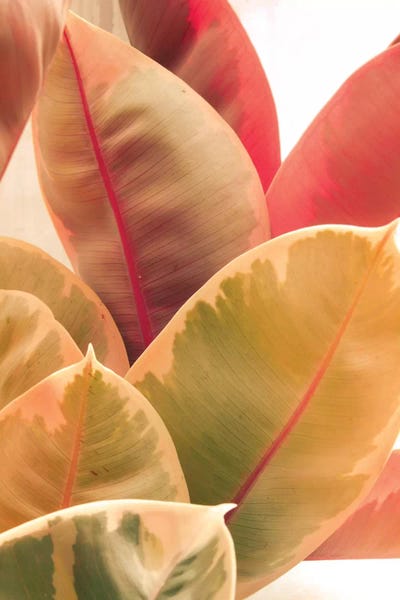 Olivia Joy StClaire: Beautiful Leaves LI by Olivia Joy StClaire