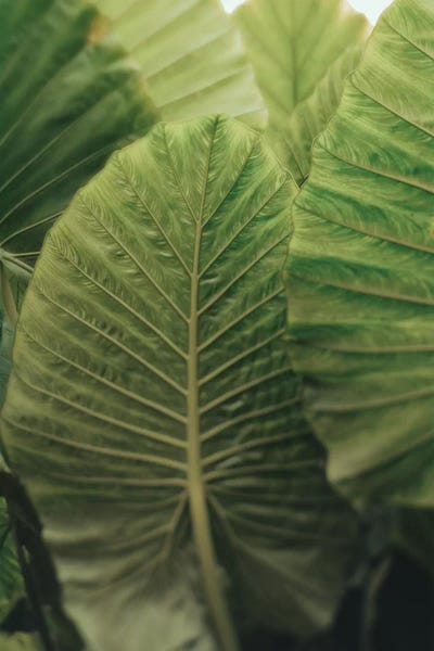 Be Present by Olivia Joy StClaire framed wall art