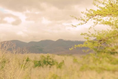 Before Spring Came by Olivia Joy StClaire framed wall art