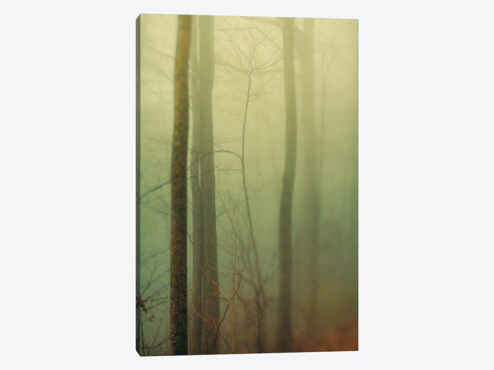 Trees In Fog II by Olivia Joy StClaire 1-piece Canvas Art Print