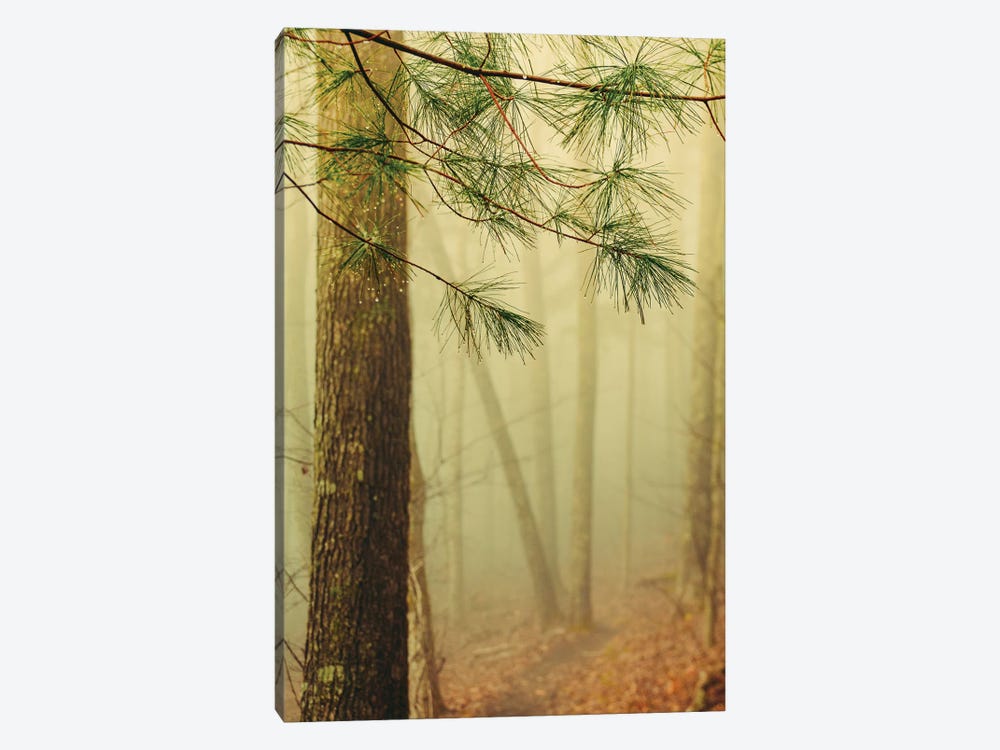 Trees In Fog IV by Olivia Joy StClaire 1-piece Canvas Print