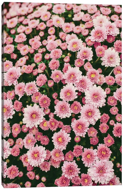 Bloom Abundantly Canvas Art Print - Olivia Joy StClaire