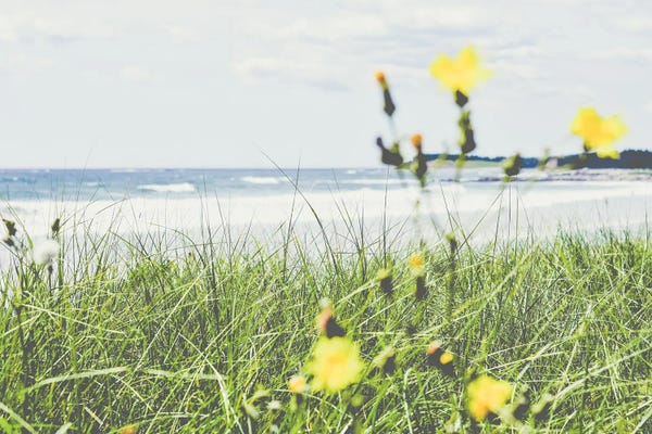 Vintage Styled Photography: Water View by Olivia Joy StClaire