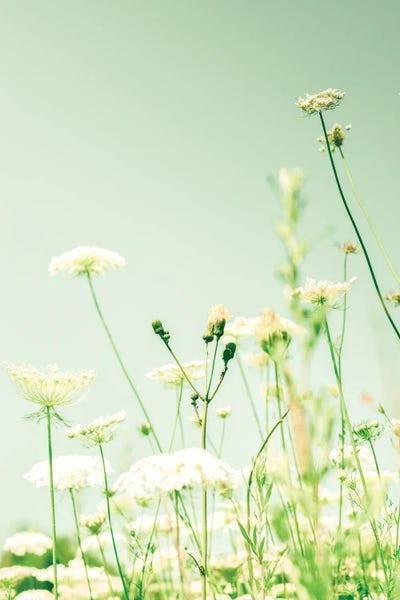 Vintage Styled Photography: Openhearted by Olivia Joy StClaire